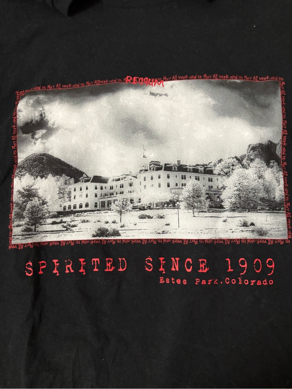 🎉 (Men’s XL) The Stanley Hotel "Spirited Since 1909" Redrum Graphic Tee - Picture 3 of 4
